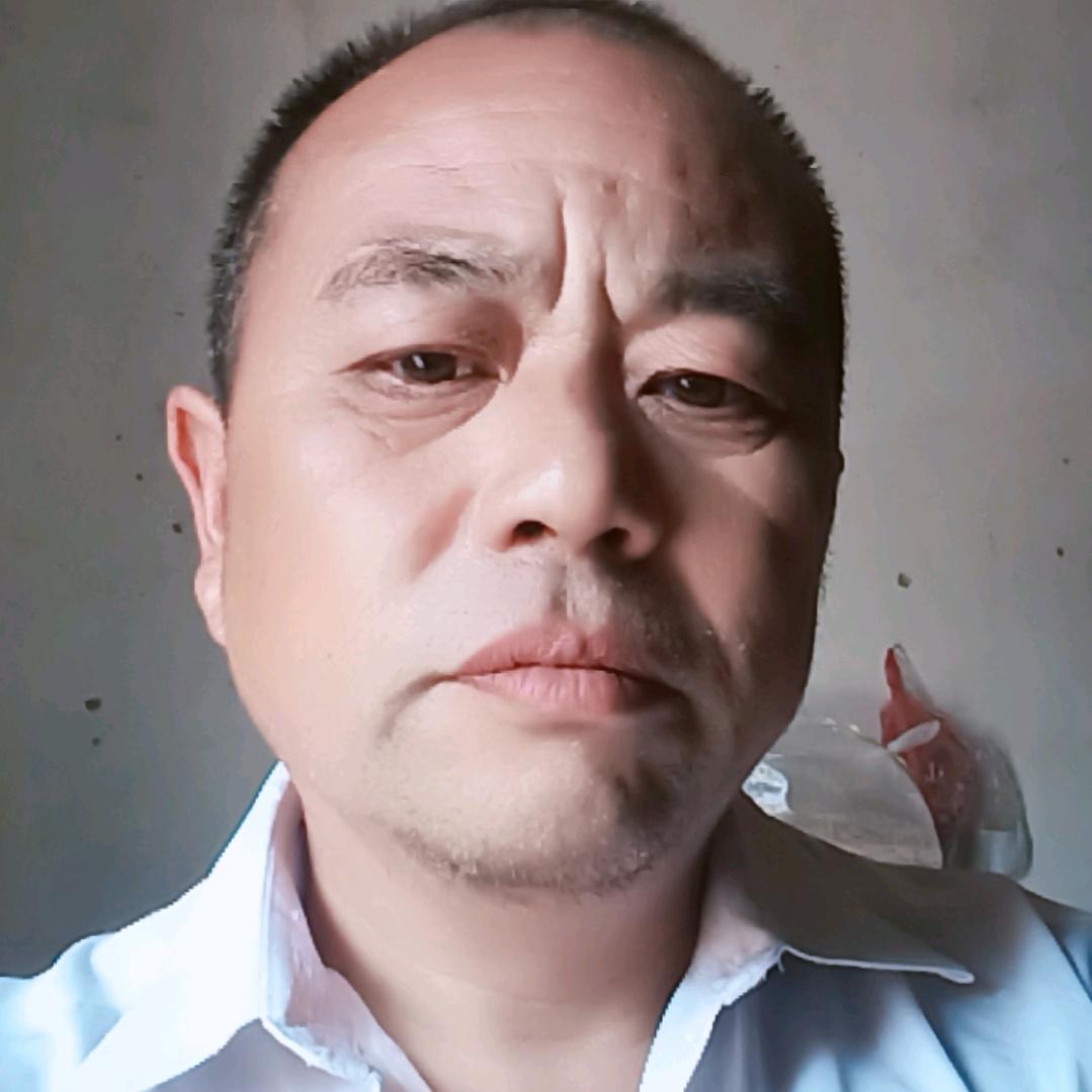 河南杨哥