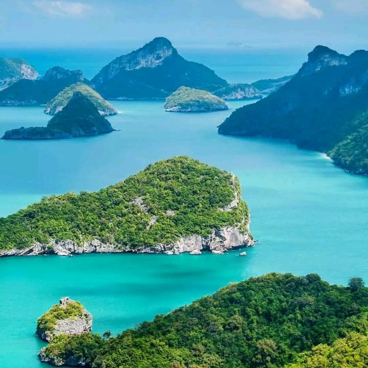 蔡小飞