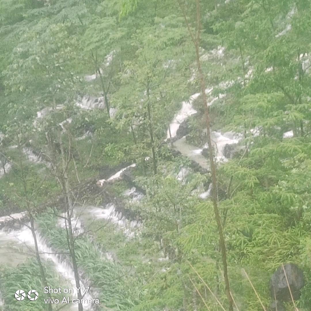 天然花香哥哥:我