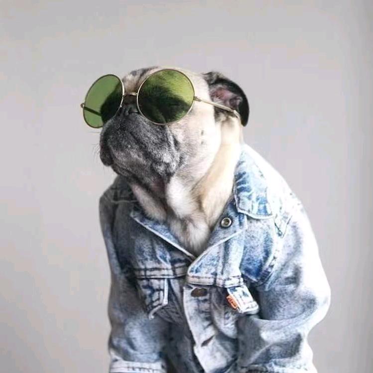 阿乔的飞行生活