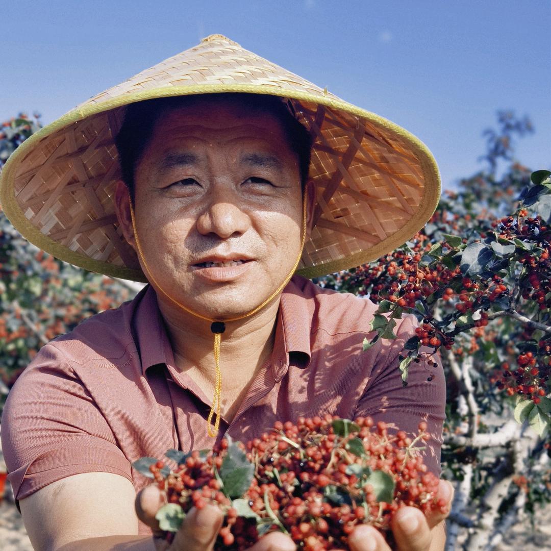 七里花椒.村长-史江齐