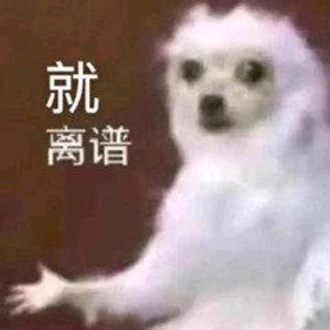 王者爆料菌