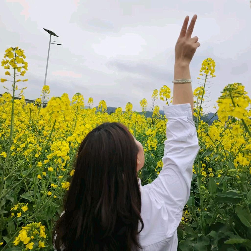 风（拒绝连赞）