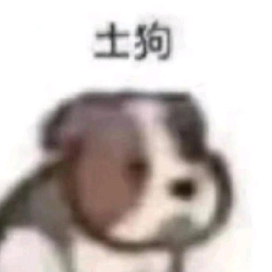 金铲铲丶星晴