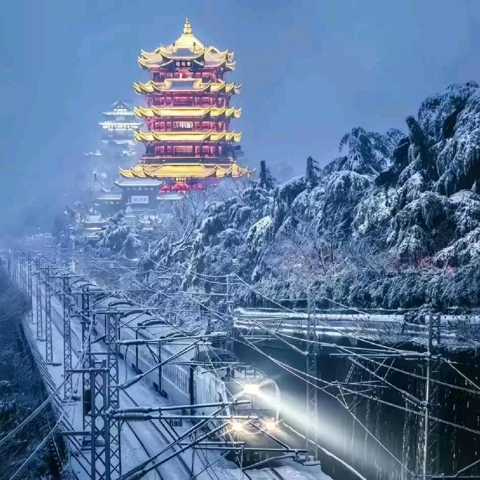 💞 ℋღ单身挺好᭄💞࿐