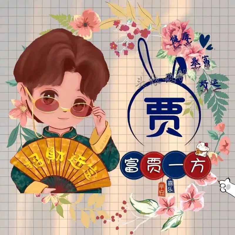 贾多宝喜趴菜