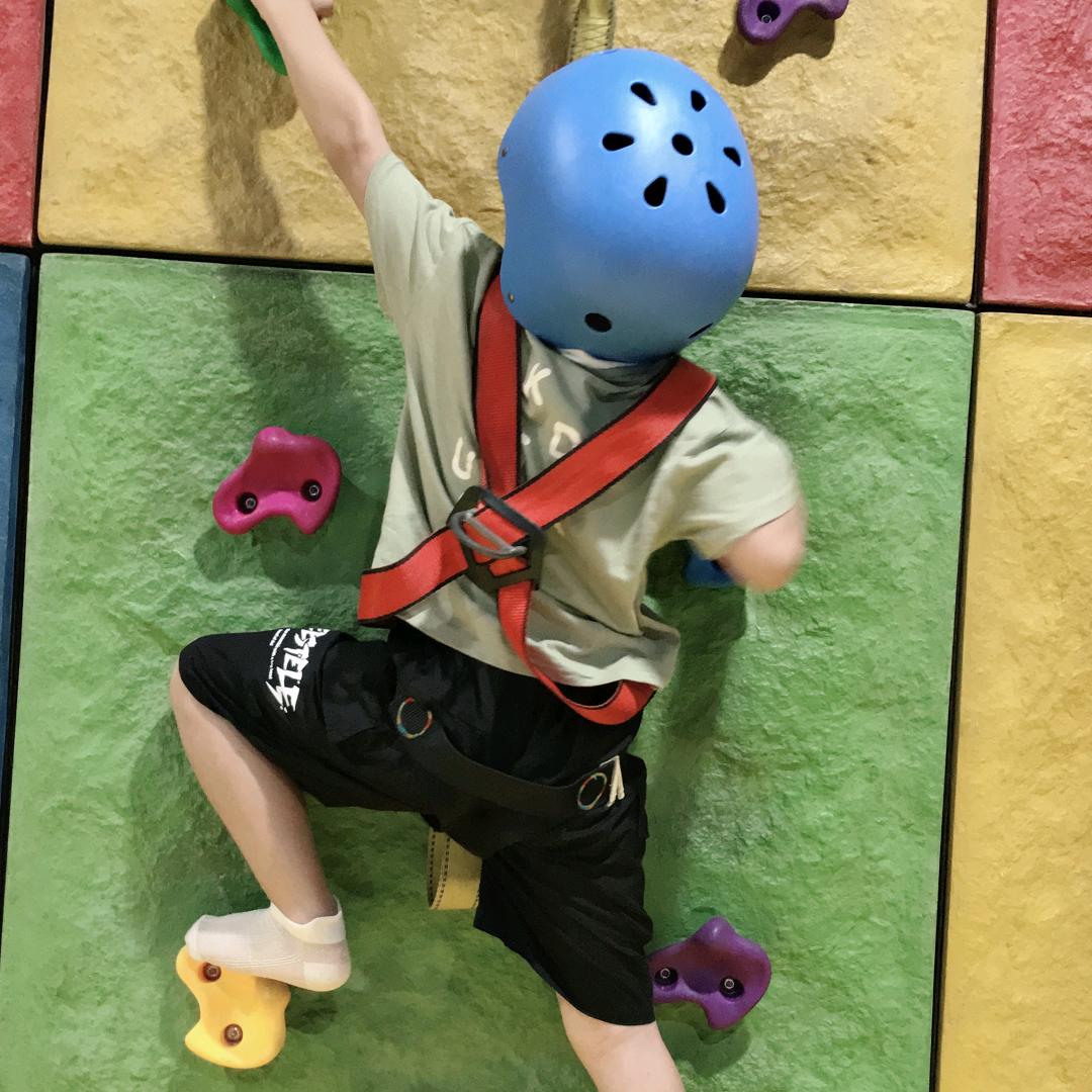 小笼包妈咪