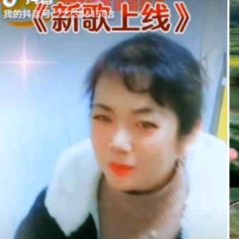 凤舞九天