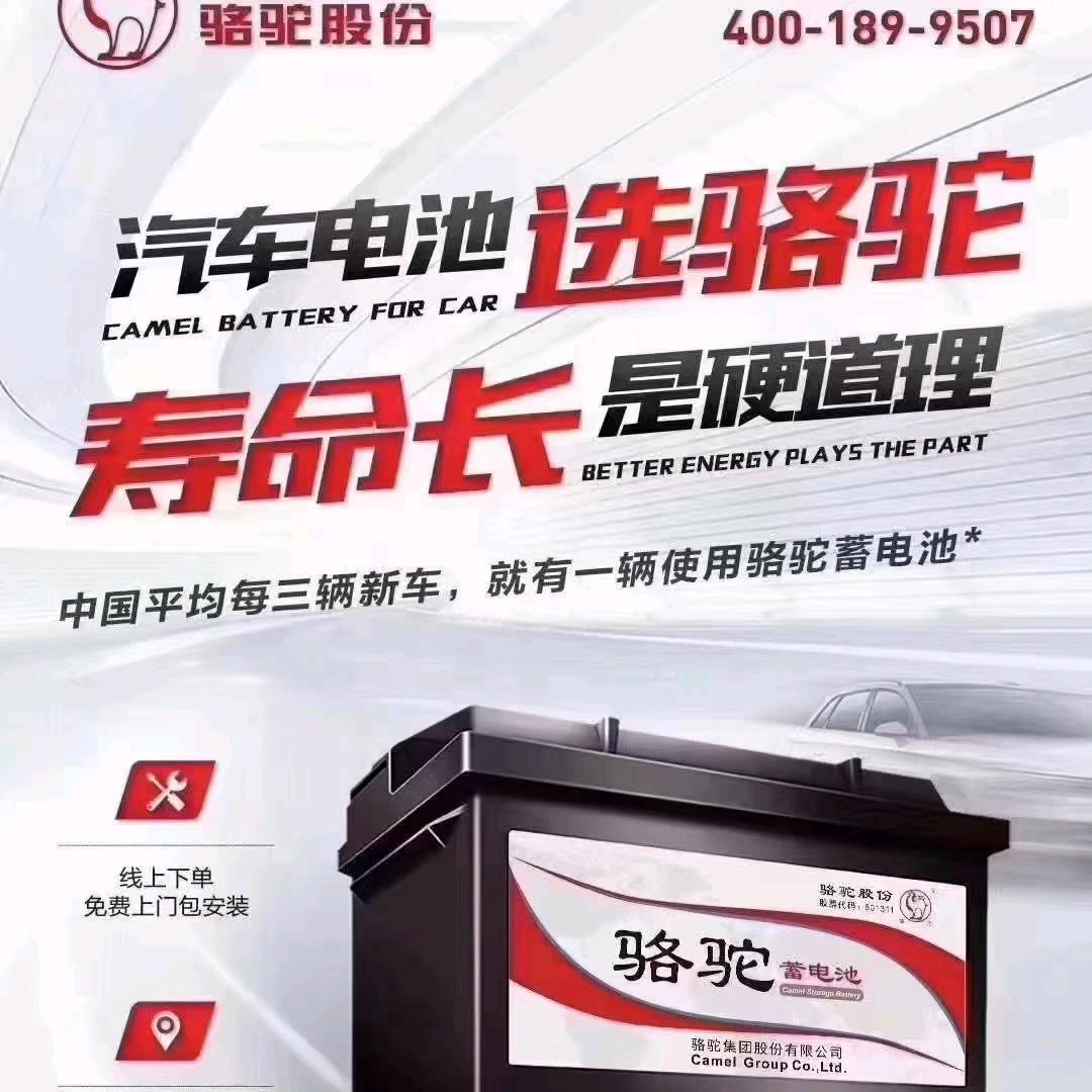 骆驼蓄电池(西区店)