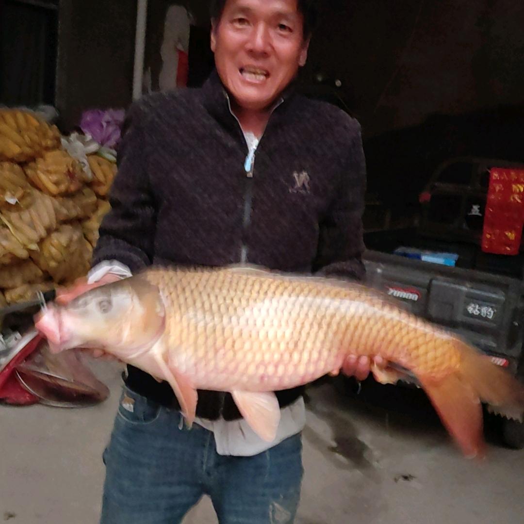 空军钓鱼老🎣😁