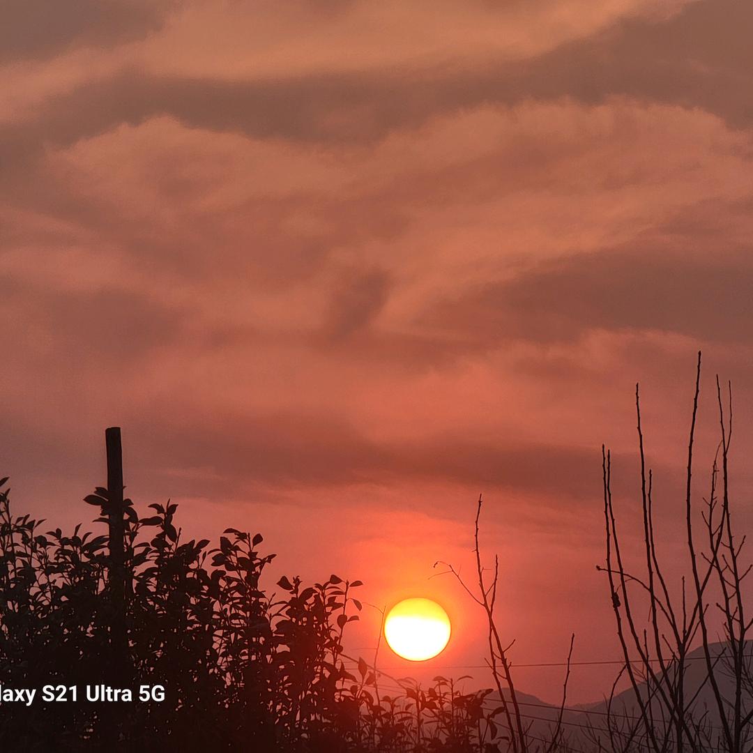 ₍˄·͈༝·͈˄*₎◞ ̑̑木一