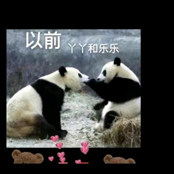 刘海燕