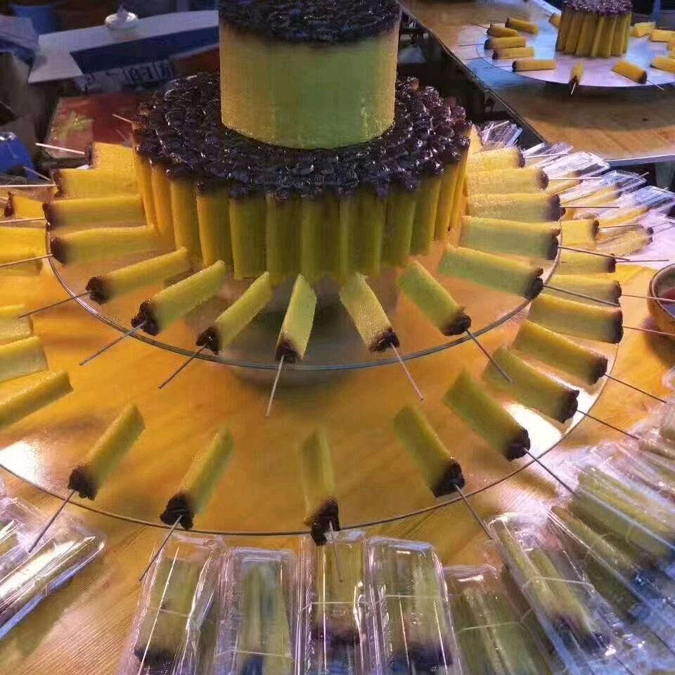 阳光旅游