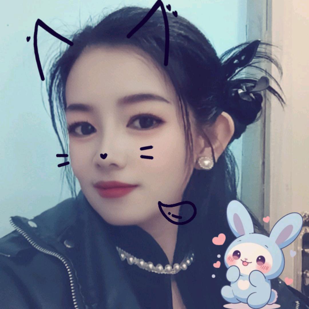 介休查漏嫂
