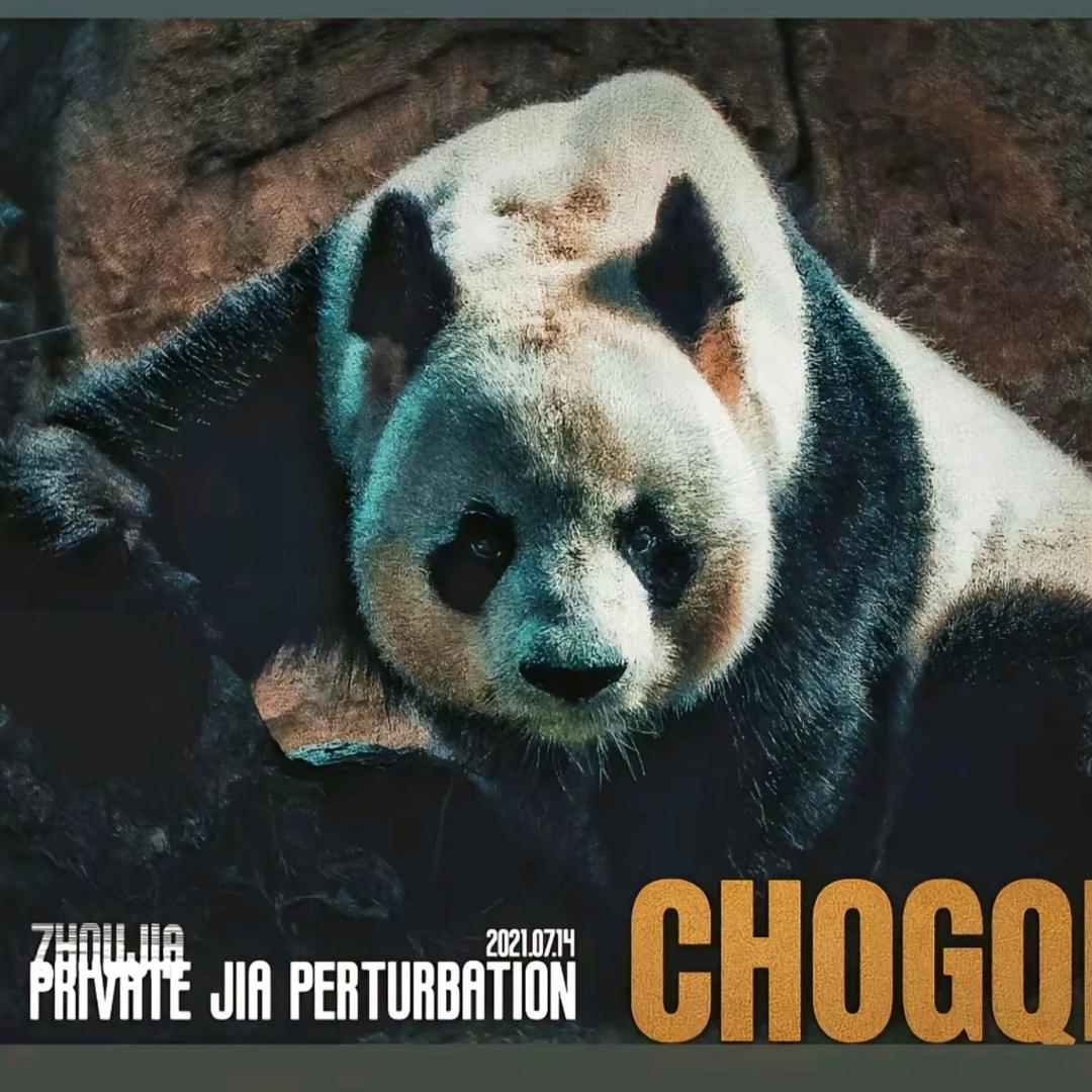 沉睡的熊嗷呜嗷呜