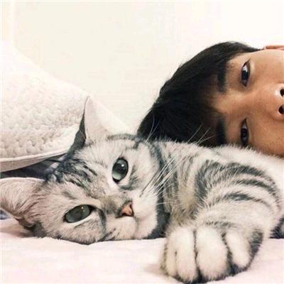 古德猫宁