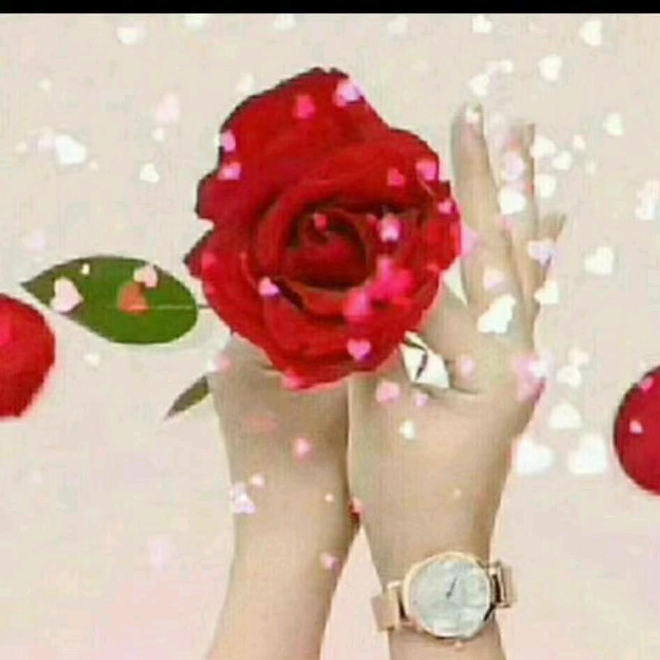 曙光三楼丝雨桐女装，小幸运