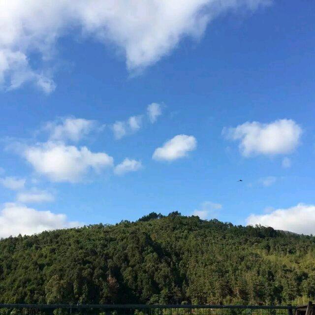 🌂快乐每一天🌷