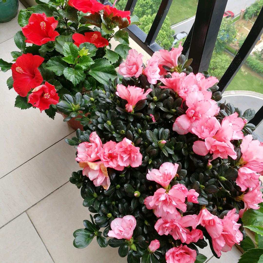 雪花