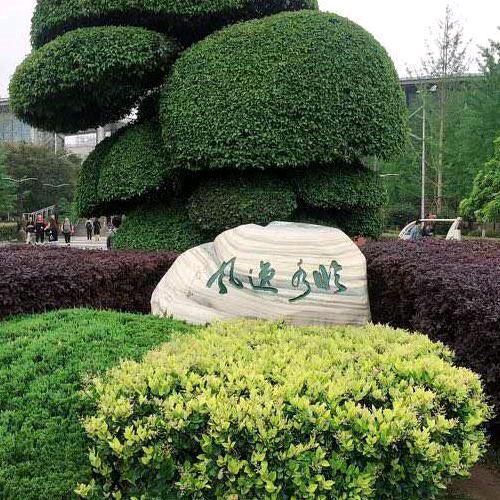 荣信
