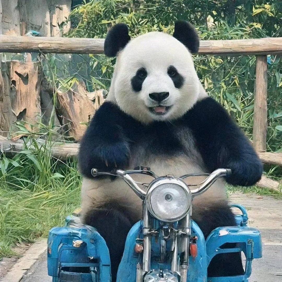 H永不言败