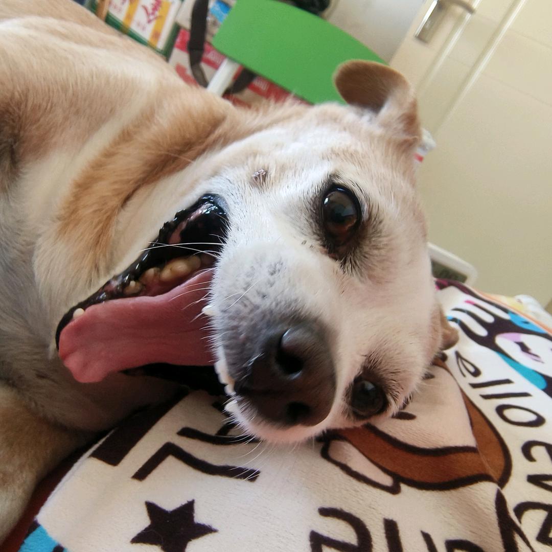 一名普通的抖音用户