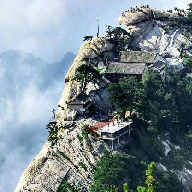 W身不由己