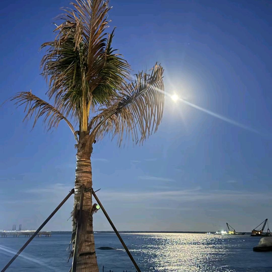 啊，是阿胜奇哥