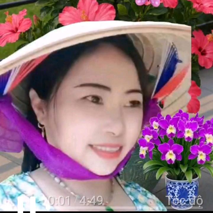 Phạm Diện 燕子