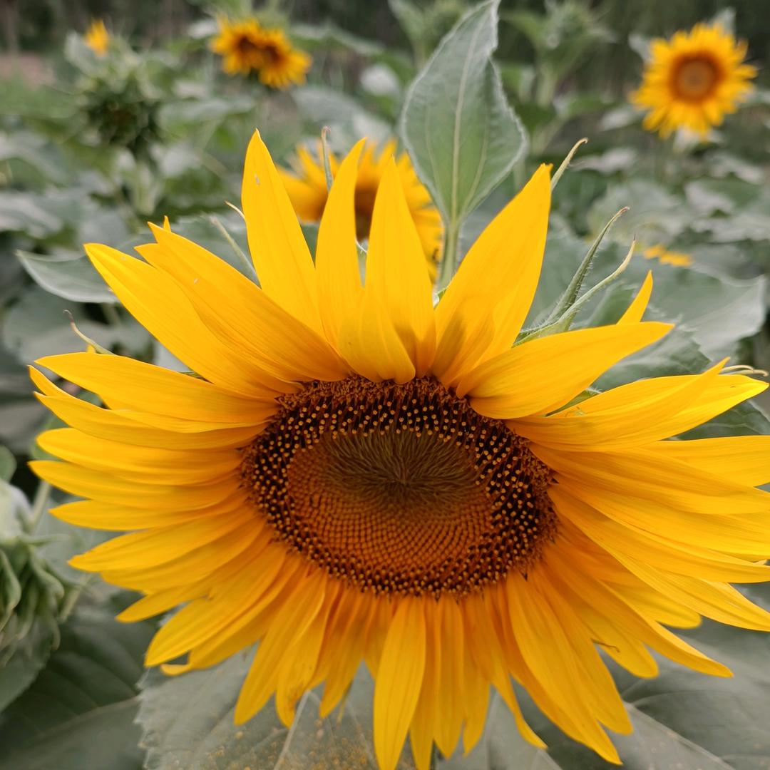 手机用户83039740448