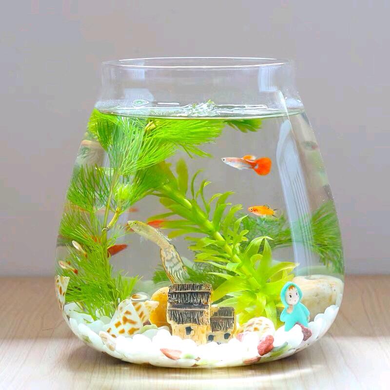 唱K小鱼仙🐟