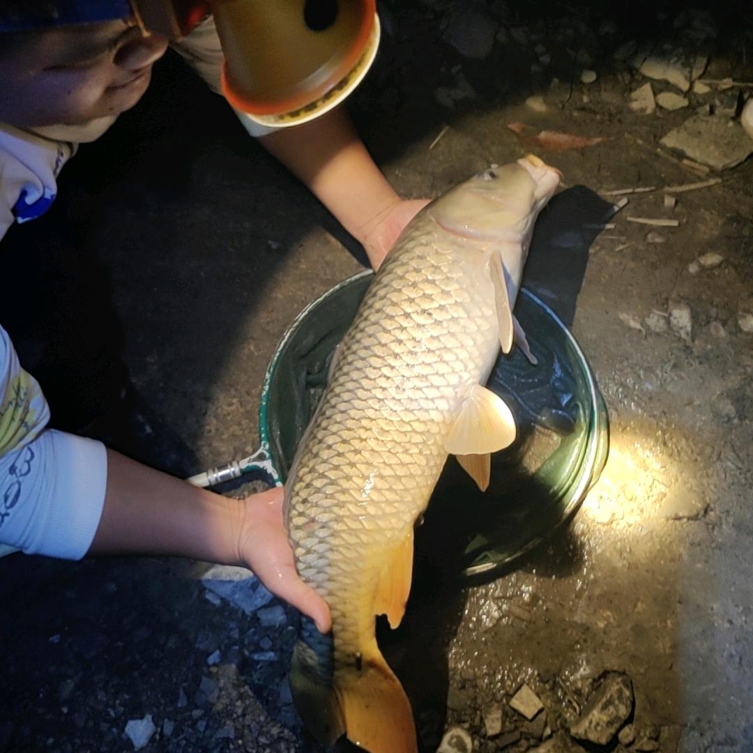 红花湾休闲塘