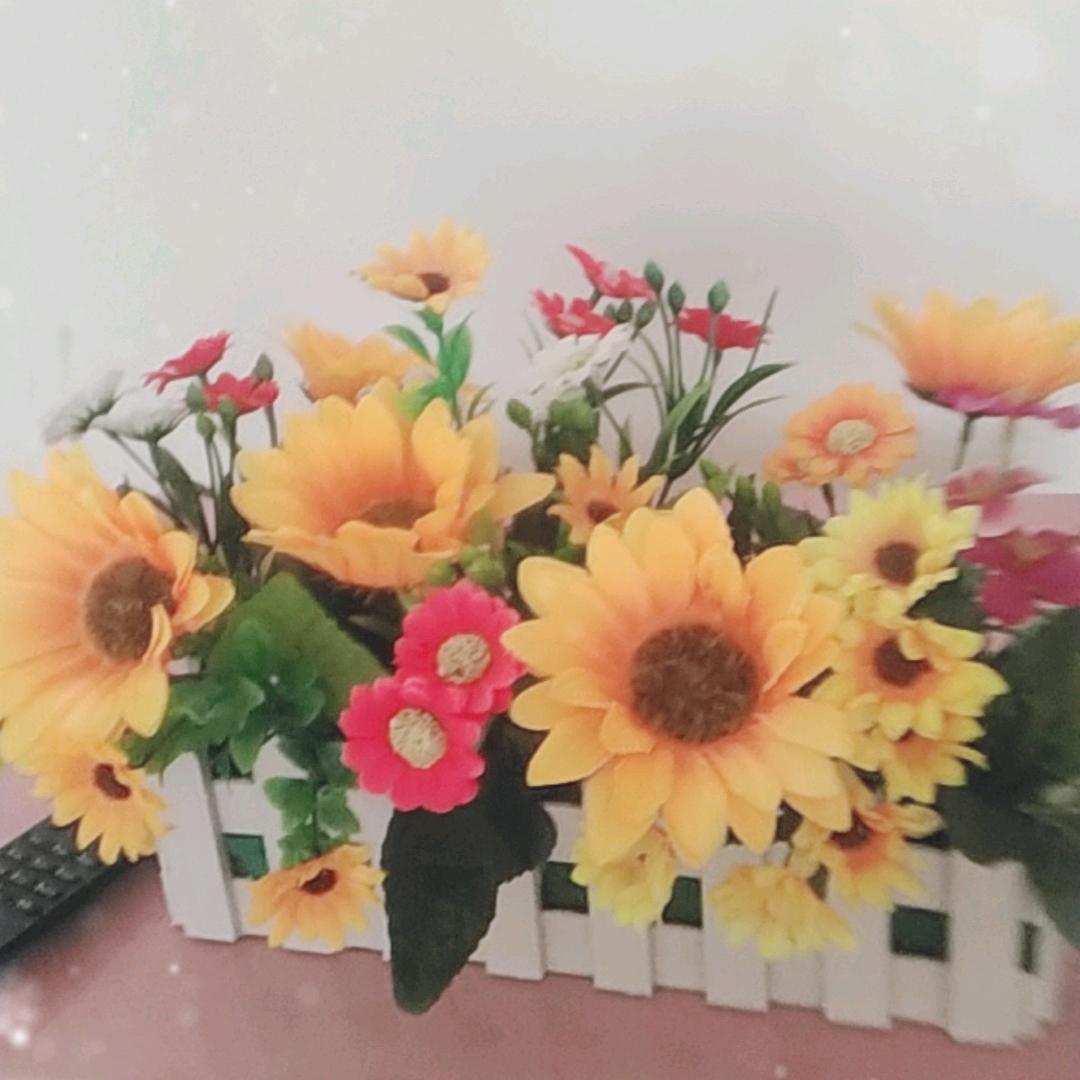 幸褔_生