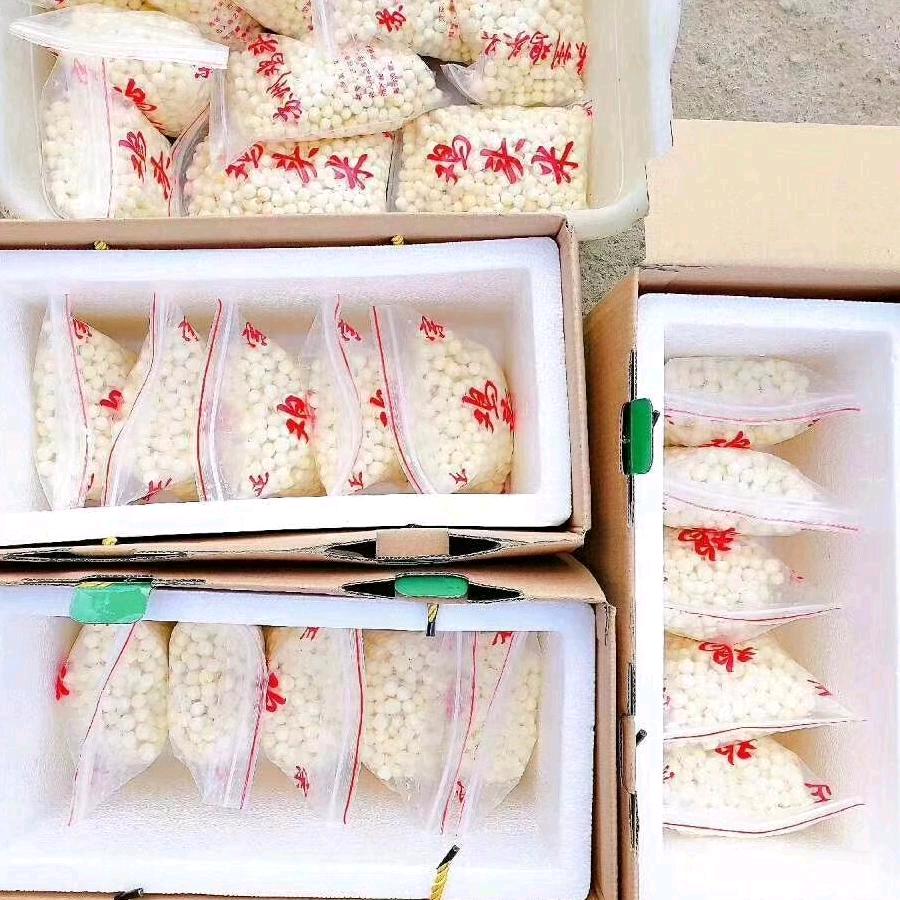 过往不纠，爱恨随意