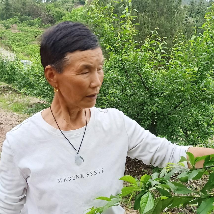 老娘有点忙