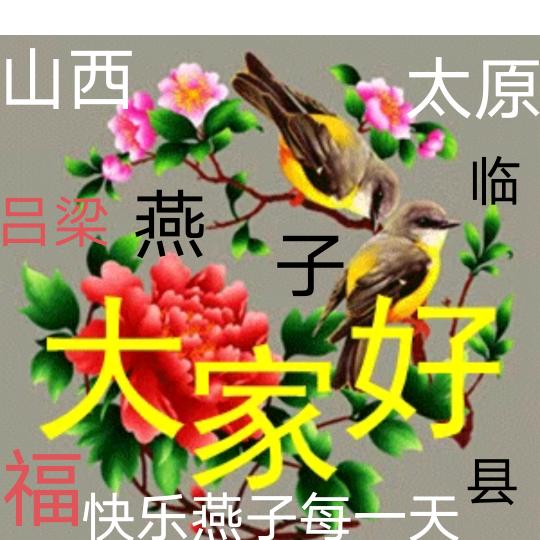旭日的月亮🌙