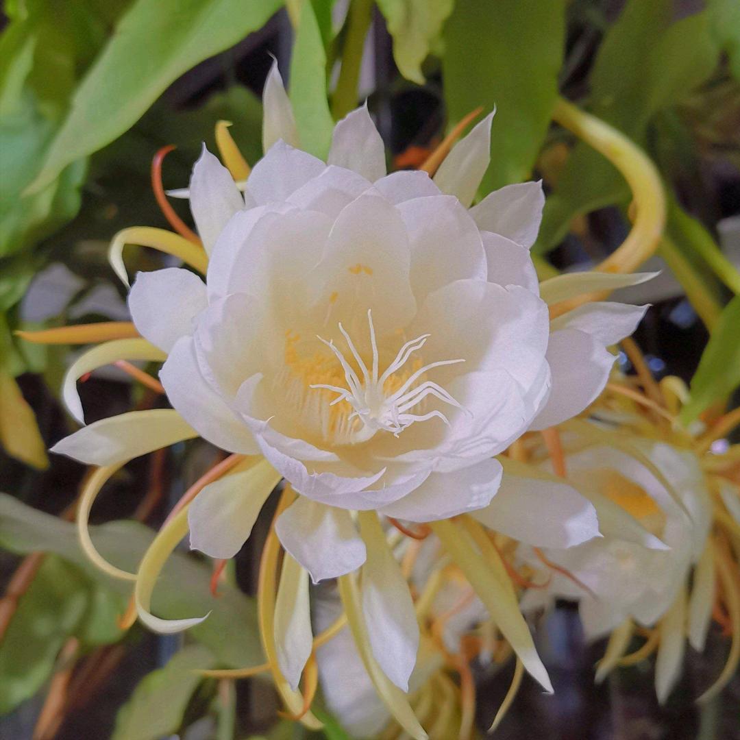 菱湖湖畔