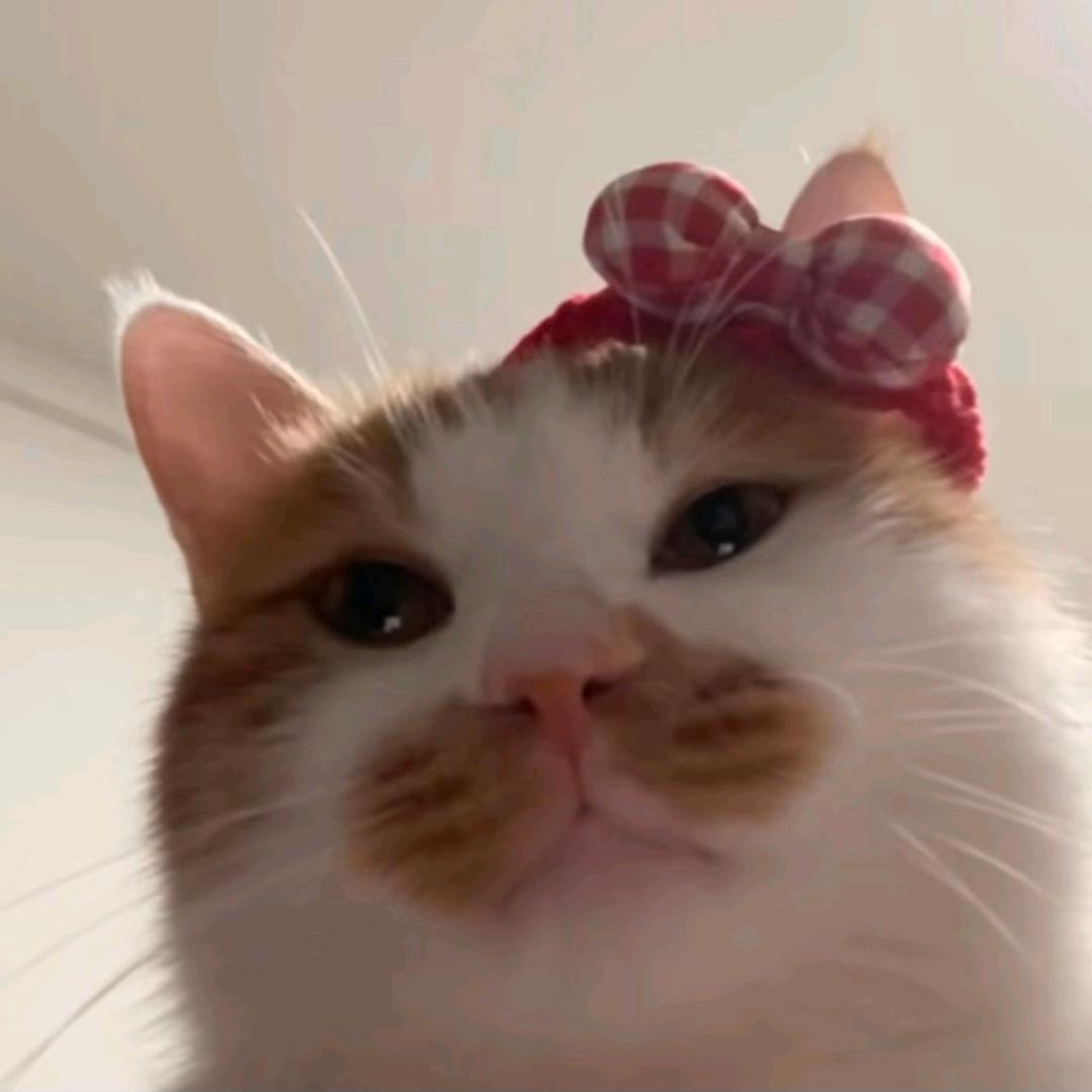 痴