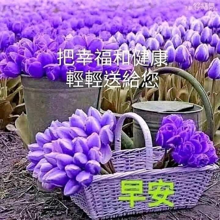 兰姐的美丽人生