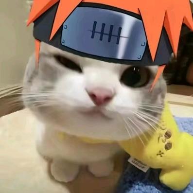 几回魂梦与君同