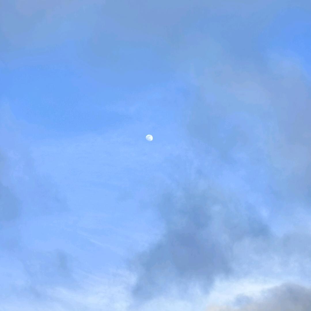 麒麟芯片的时候