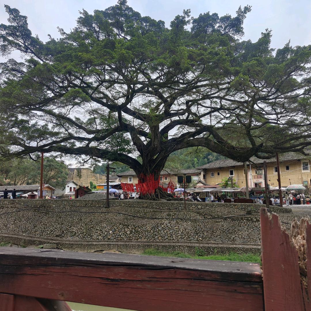 苏老板精选百货