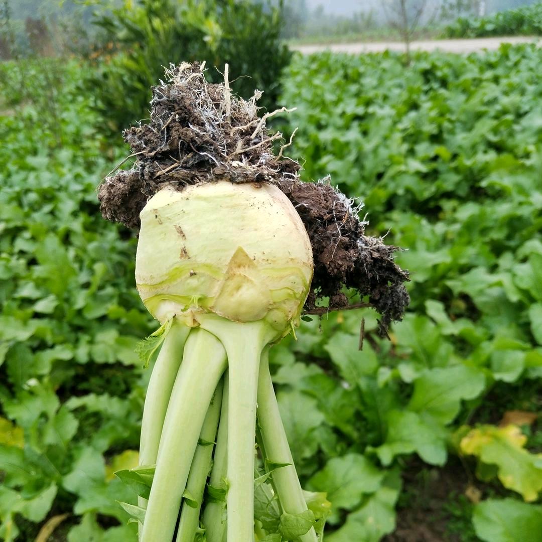 回忆美好的时光