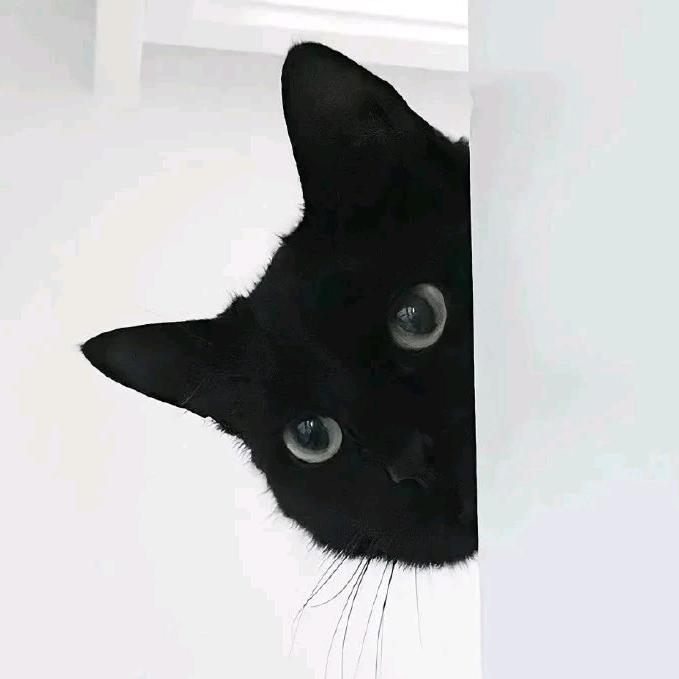 Azrael