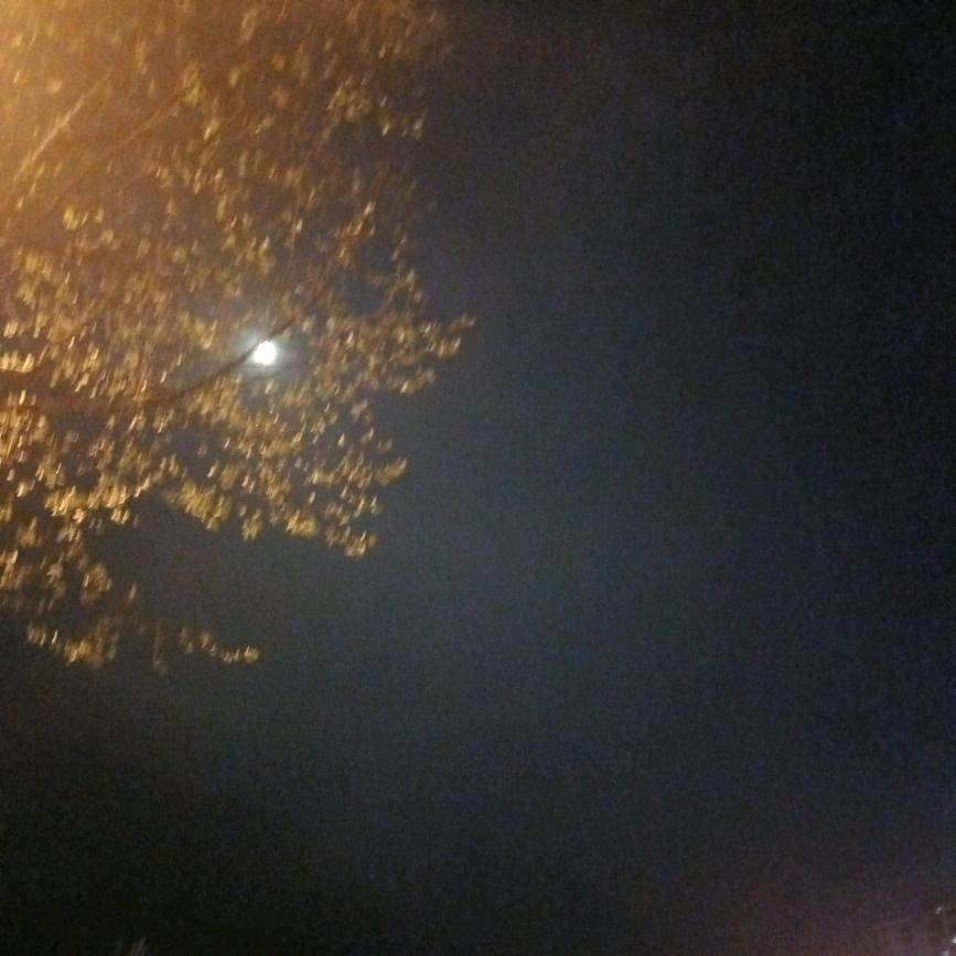 @锅锅