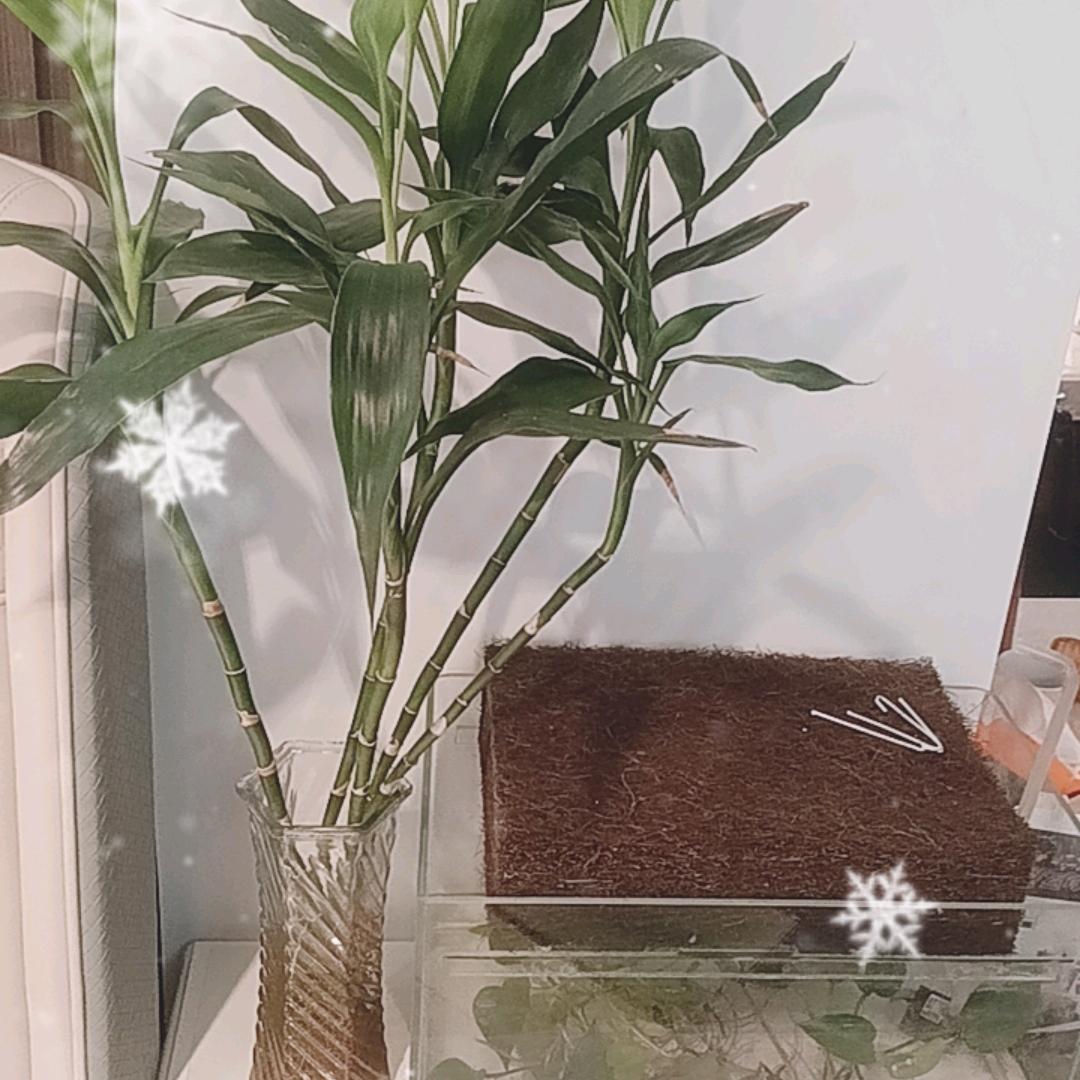 现代办公（东哥）