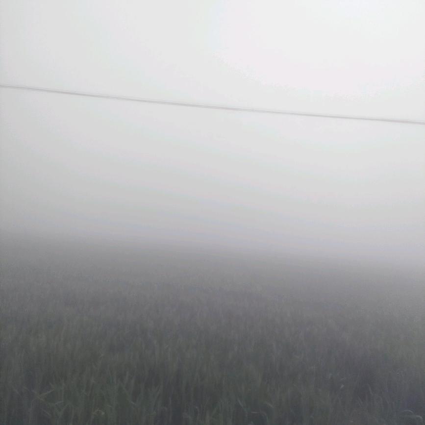 沉默