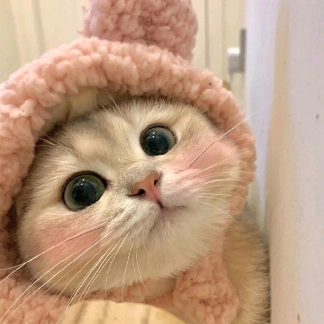 小荔枝^0^