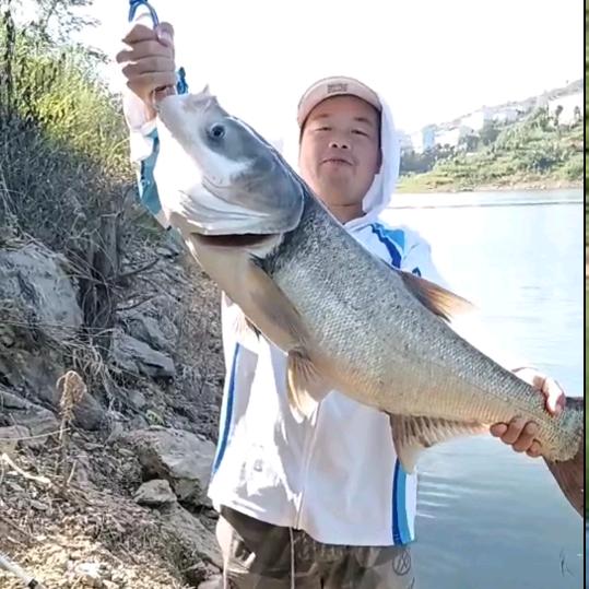 苍狼战队苍狼（鲢鳙终结者）