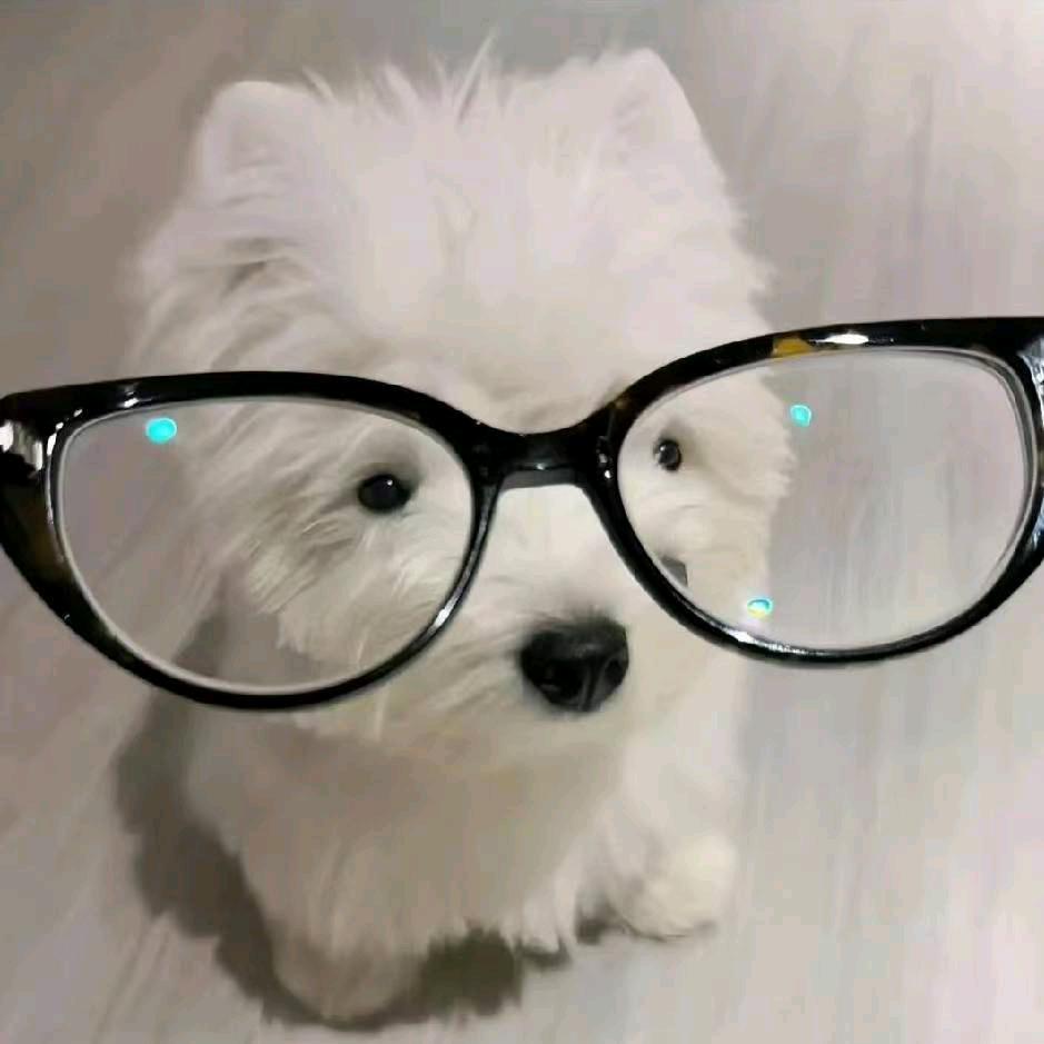 晚安.